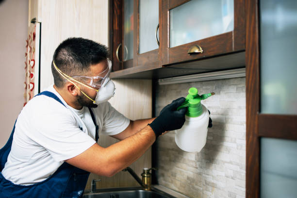Best Affordable Pest Control Services  in East Los Angeles, CA