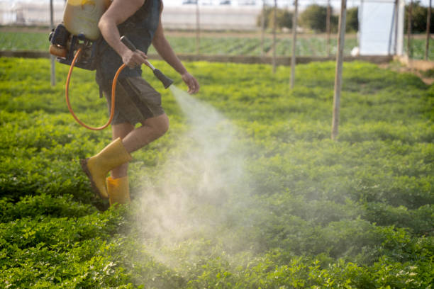 Best Affordable Pest Control Services  in East Los Angeles, CA