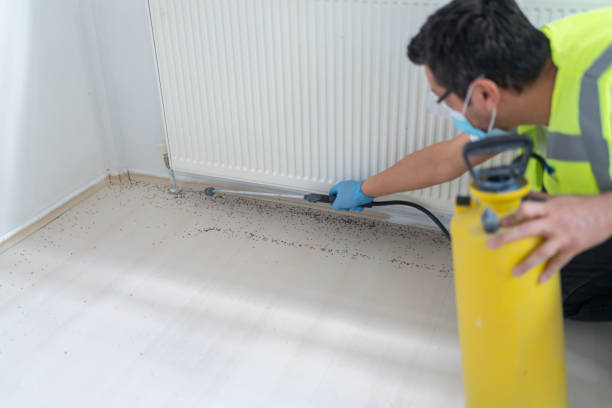 Best Wildlife Control Services  in East Los Angeles, CA